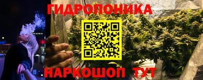 PSILOCYBIN Будённовск
