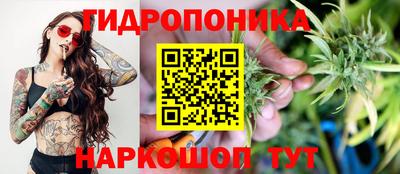 PSILOCYBIN Будённовск