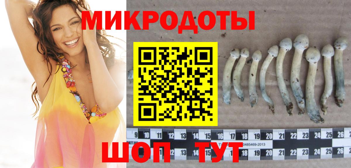 Псилоцибиновые грибы мицелий Пыть-Ях